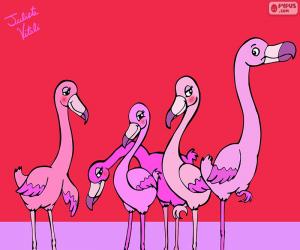 yapboz Julieta Vitali'nın flamingolar